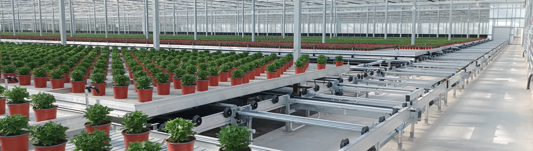mobiele gotensysteem met potplanten in een glaskas