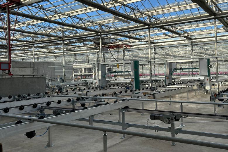 Technisches Rolltischsystem in einem Gewächshaus