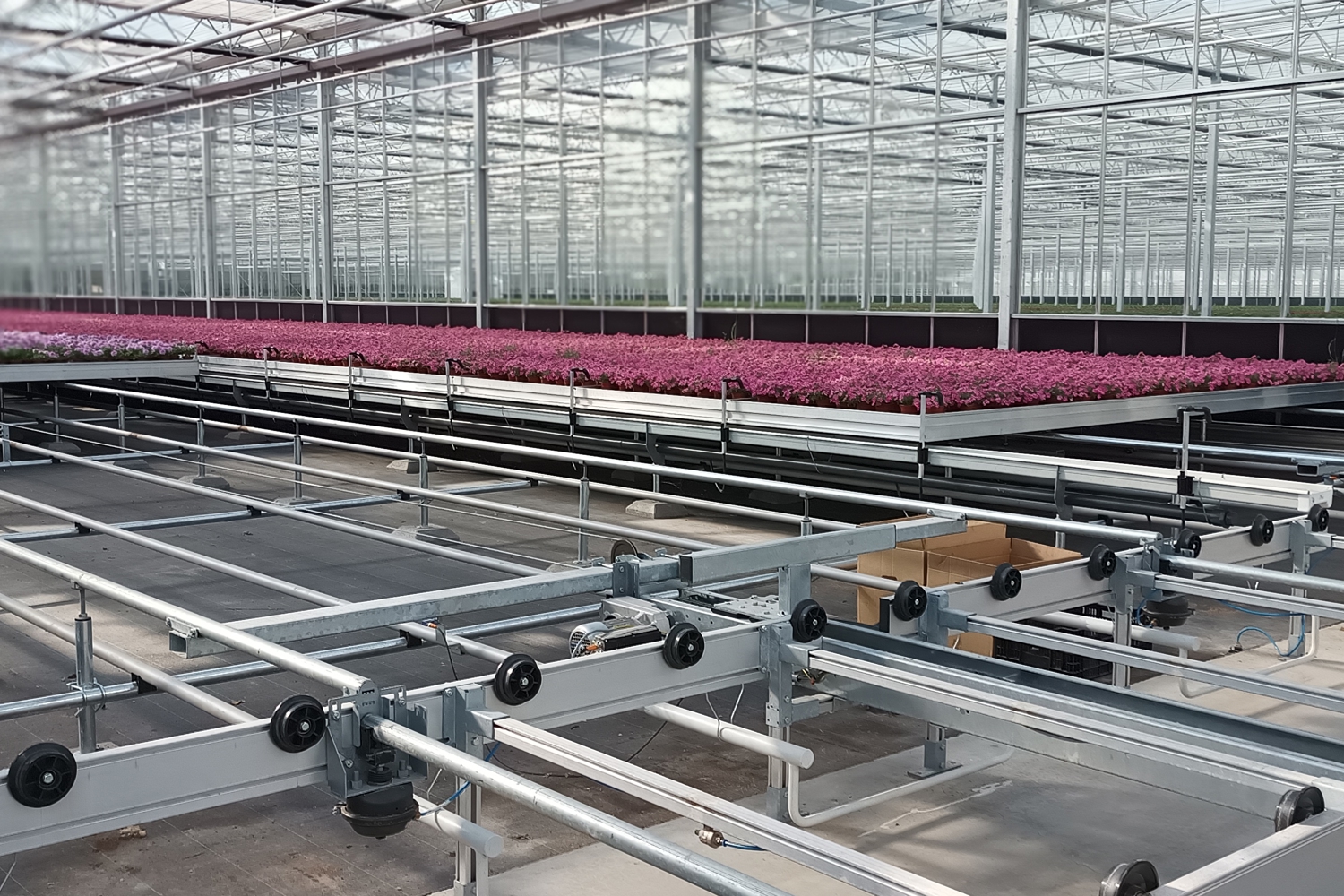 mobiel gotensysteem met planten in bloei in een glaskas