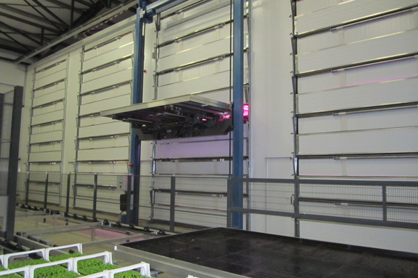 multilayer system for growing plants in a greenhouse shed