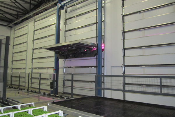 multilayer system for growing plants in a greenhouse shed